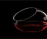 Revolution Sideways Wine Glass