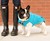 Django City Slicker Raincoat for Dogs