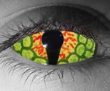 Halloween Contact Lenses