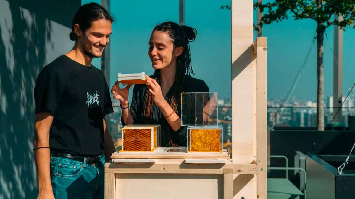 B-BOX Urban Beehive B-BOX Urban Beehive