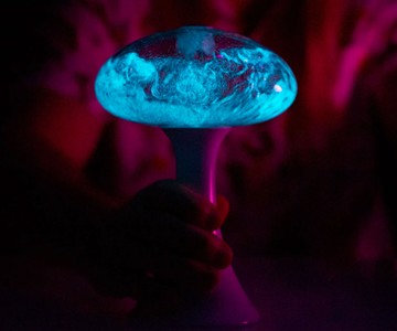 Mushlume UFO Bioluminescent Display Mushlume UFO Bioluminescent Display