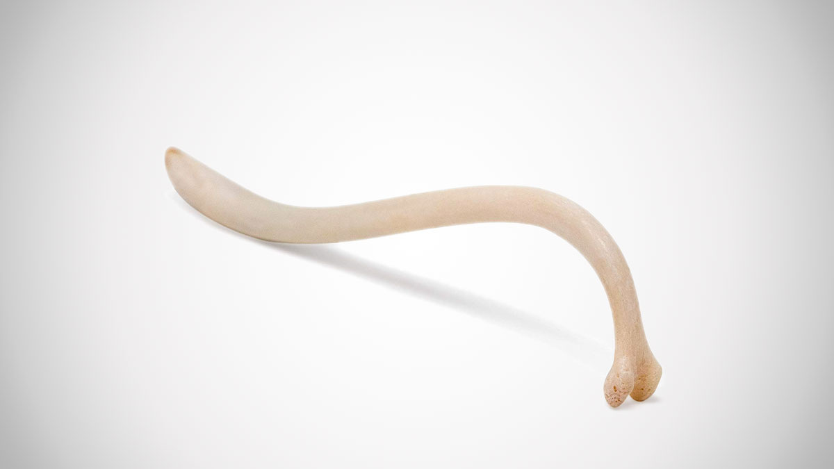 Texas Toothpick Texas Toothpick