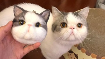 Custom Stuffed Cat Replica Custom Stuffed Cat Replica