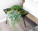 BloomingTables Living Furniture