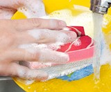 Sushi Kitchen Sponges