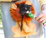 Lion Cat Carrier