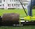 Sun Joe 10-Ton Hydraulic Log Splitter Sun Joe 10-Ton Hydraulic Log Splitter