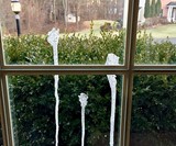 Prank Fake Bird Poop