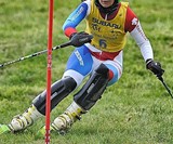 Grasski Grass Skis