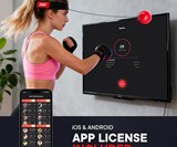 Boxaball Boxing Speed Training Ball
