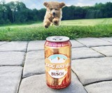Busch Dog Brew