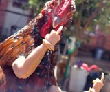 Bird Flippin' the Bird - Middle Finger Chicken Arms