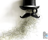 Top Hat & Face Planter