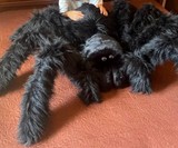 Giant Stuffed Tarantula