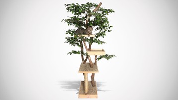 Sycamore Cat Tree Sycamore Cat Tree