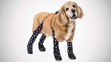 Walkee Paws Waterproof Dog Leggings Walkee Paws Waterproof Dog Leggings