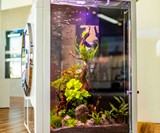 Washing Machine Aquarium