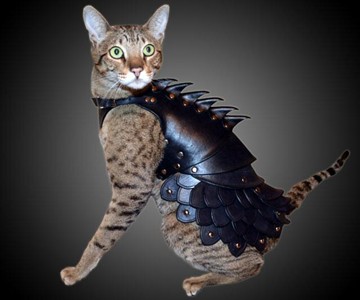 Cat Battle Armor Cat Battle Armor