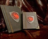 Game of Thrones Cases