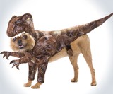 Raptor Dog Costume