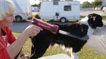 HotWave Heated Hose Nozzle Sprayer HotWave Heated Hose Nozzle Sprayer