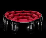 Chameleon Lounger