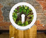 OGarden Rotating Indoor Plant Wheel