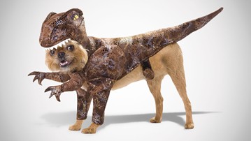Raptor Dog Costume Raptor Dog Costume