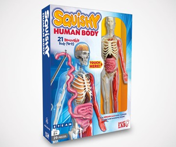 Squishy Human Body 3D Anatomy Puzzle