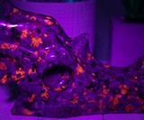 Yooperlite UV Fluorescent Stone Designs