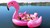 Hit the Break: Spring Break Essentials