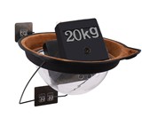 Window-Mounted Suction Cup Cat Saucer