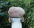 Velvet Potato Pillow Velvet Potato Pillow