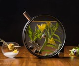 The Porthole Infuser