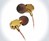 100% Copper Audio Blast Earbuds 100% Copper Audio Blast Earbuds