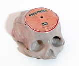 Custom Vinyl Record Skulls