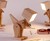 Posable Dinosaur Table Lamp Posable Dinosaur Table Lamp