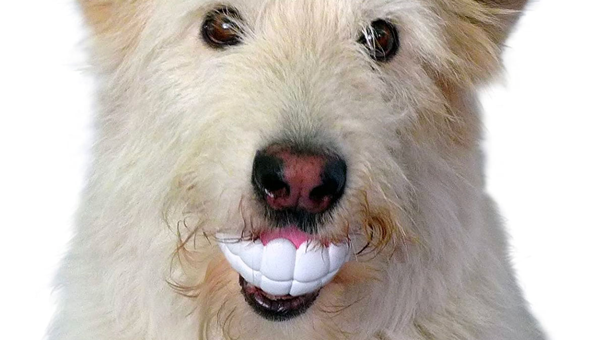 Humunga Chomp Dog Toy