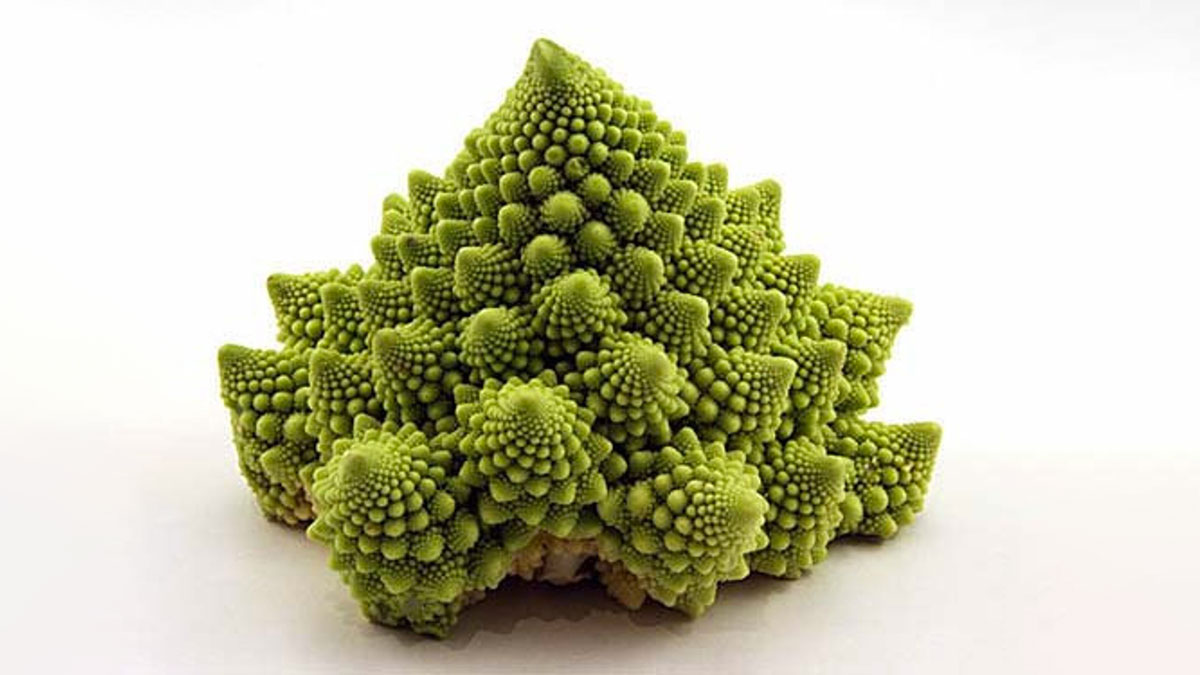 Breaking Physics Cauliflower