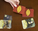 Quarantine King Card Game