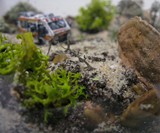 Breaking Bad Terrarium