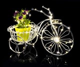 Dimmable LED String Lights