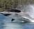 Seabreacher Shark X Water Jet Seabreacher Shark X Water Jet