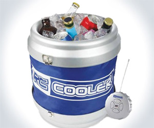 Remote Control Cooler Remote Control Cooler