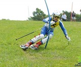 Grasski Grass Skis
