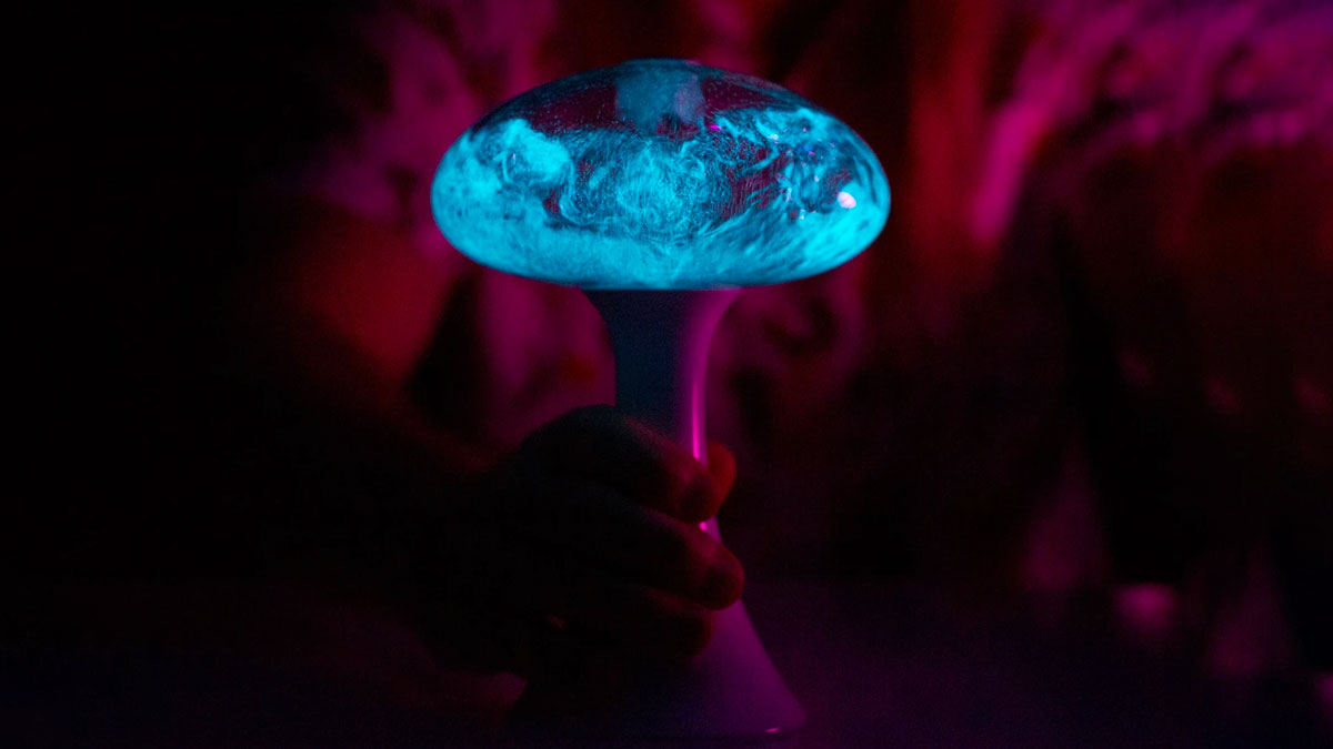 Mushlume UFO Bioluminescent Display Mushlume UFO Bioluminescent Display