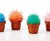 Magicactus Kit - Miniature Crystal Cactus Growing Set