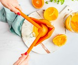 Fluicer Fold-Flat Juicer