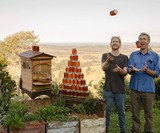 Flow Hives Langstroth Style Cedar Beehive