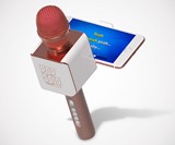 Rechargeable Bluetooth Karaoke Microphone & Voice Mixer